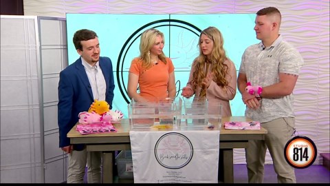 Axolotls of all different morphs and colors! Beck'sandJo'slotls in Altoona stops by