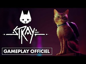 PS5 | PS4 | PC : Cette "simulation" de chat est magnifique ! 😺 GAMEPLAY OFFICIEL de STRAY.