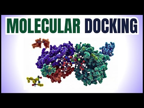 Molecular Docking | Principles, Types, Tools, Applications & Role in Drug Discovery | Bioinformatics