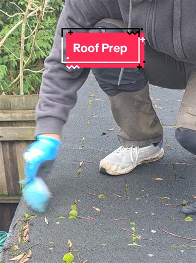 Progress on Cabin Maintenance: Fixing Rot Issues