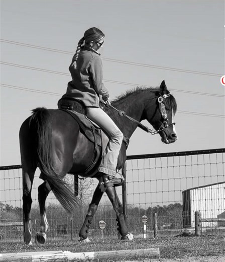 always have been and always will be. #barrelracing #rodeo #LCR #arabian #fypシ