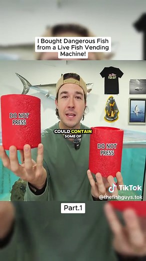 Mystery Box Fishing Adventure with The Fish Guys