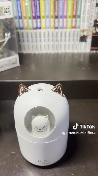 Kitten Humidifier on TikTok