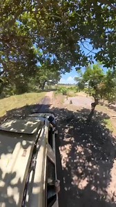 If you thought Co-Impact Sourcing was just about knowing where our oils come from, think again! It’s about appreciating our dedicated partners and farmers, supporting local communities, and having FUN along the way! | doTERRA Essential Oils USA