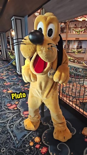 kisses from Pluto 🐾 #disneycruise #disneycruiseline #disneytreasure #disneycharacter