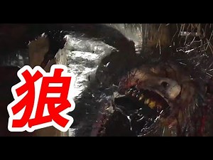 【バイオ8体験版】Village Demo 最高難易度・全敵撃破・ノーダメージ・ノーコンテニュー攻略