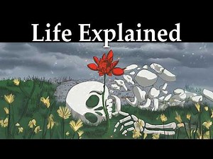 Life Explained In 40 Minutes - Carl Jung