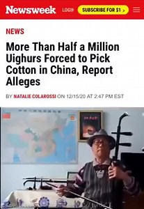 Free China Memes on Reels