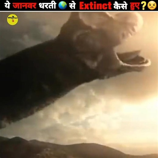 You're going to cry after seeing these extinct animals! 😭 #facts