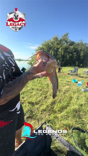 Maximus Fishing Adventure: Catching Barbel Fast!