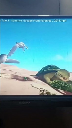 Watching movie A turtles tale