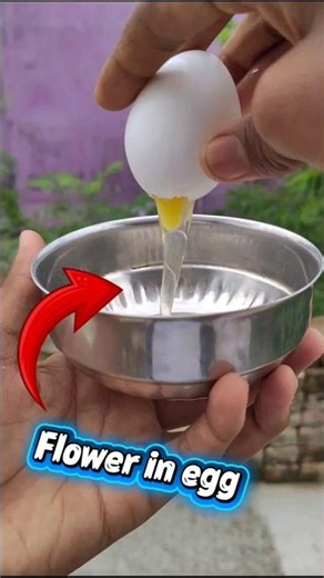 Ice Flower In Egg Testing #experiment​ #shorts​ #shortvideo