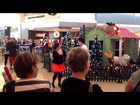 Northlands Christmas Flash Mob 2013