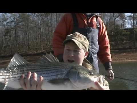 Lake Lanier January Striped Bass