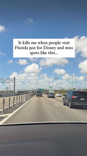 Save these 10 must-see gems around Palm Beach and Miami 👇 Whether you’re exploring solo, with your partner, or with kids, this list has a little magic for everyone ✨ 🏛 Vizcaya Museum & Gardens 📍3251 S Miami Ave, Miami, FL 💵 $25 adults | $10 kids European palace vibes, 10 acres of lush gardens, and a waterfront view that feels straight out of Italy. 🦩 Flamingo Gardens 📍3750 S Flamingo Rd, Davie, FL 💵 $22.95 adults | $16.95 kids Hand-feed flamingos, spot panthers and otters, and stroll thro