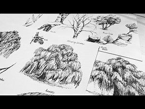 How to DRAW TREES | PART TWO weeping Willow and Birch