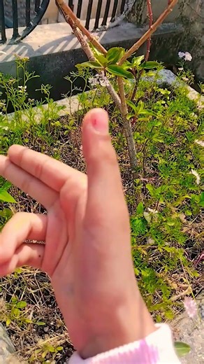 my dancing hand ✋🏻👌🏻