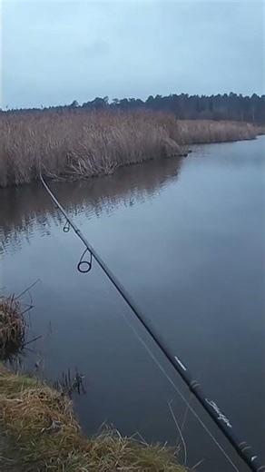 One minute of pure calmness filmed in Ukraine. Full 1-hour version here: @SilentCastbyGoddy