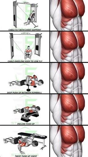 Lower Chest Workout to Increase Chest Thickness, Improve Strength and Overall Pec Development