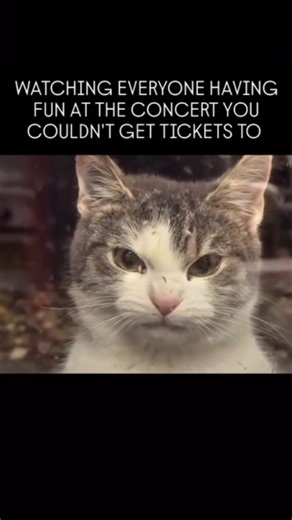 music memes and concerts | 💔 The heartbreak felt when there's a concert you really wanted to go to, but you either missed out on tickets or it's just out of your... | Instagram