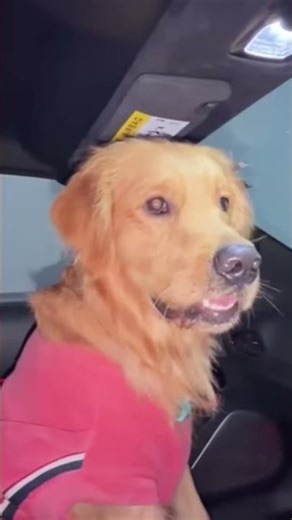 reo seetha alien#reo #anantrastogi