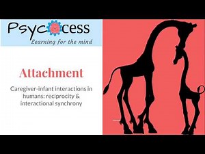 AQA Psychology Attachment Caregiver-infant interactions: Reciprocity & Interactional Synchrony