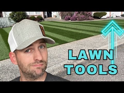 PURCHASE or PASS? Tools I use to maintain beautiful grass!