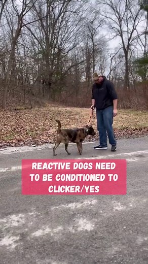 87K views · 679 reactions | Following forwards and backwards ➡️ If...