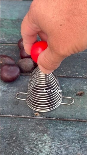 The Easiest Way to Crack Nuts in Seconds! Genius Kitchen Hack