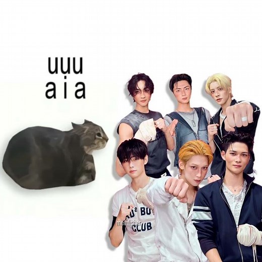 ENHYPEN - BLOODY PARADISE, but it's Oiiai Cat Remix (uiiai) #mashup #remix #oiiacat #kpop #enhypen