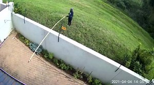 21K views · 113 reactions | Attempted theft on King Str, Berario. This method of theft has been commonly used for years, he tried to hook items within reach of the pole, example; Washing, handbags & small electronics. | Suburban Control Centre | Facebook
