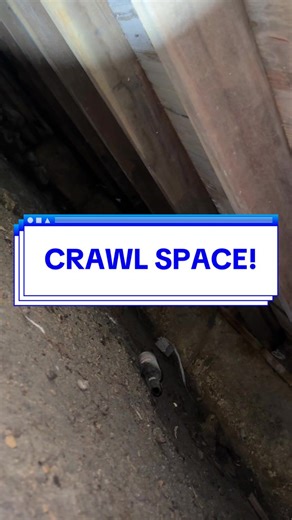 During mold inspections being short has it’s perks when having to go into crawl spaces. This client saw Grace, our mold inspector in training and automatically knew she was capable of squeezing in under their house. Would you crawl under your house in Florida? 👀 Crawlspaces are breeding grounds for mold growth! Make sure to invest in a moisture barrier to prevent any humidty and heat from going into your home from below! #crawlspace #mold #moldinspection #fyp #florida #moldtesting #girls #girlb