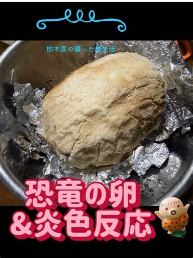 恐竜の卵＆炎色反応 若いころ秩父の民宿のひげさんという方に「恐竜の卵」を教えてもらい、たまに作ります。ほんとは丸鶏をつかうんだけど、手羽元バージョン。実家に帰ったときに作りました。残った塩がもったいなく、炎色反応をみましたが・・・＃樹木医＃偏った植生活＃炎色反応＃塩釜＃鶏料理＃焚火＃不思議グルメ