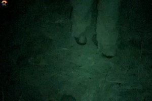 1M views · 34K reactions | Dangerous Water ( Part 1 ) [ हिन्दी डॉक्यूमेंट्री ] #wildlife #nature #fishing #discovery #discoverychannel #jungle #survivalsworld | Beyond The Wild | Facebook