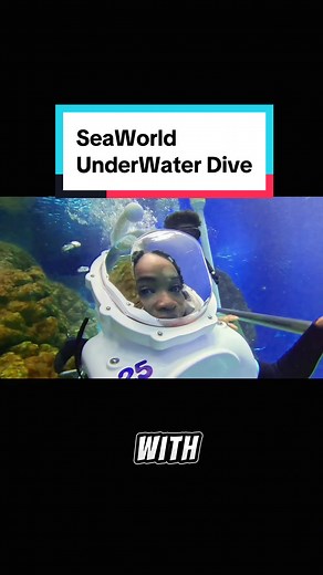 Experience Underwater Diving in Abu Dhabi