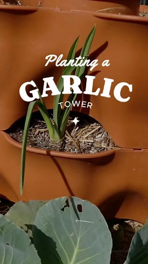 185K views · 2.4K reactions | How to make TWO trellis's with ONE 16'...