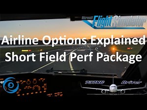 Short Field Performance Package | PMDG Airline options explained | Real 737 Pilot