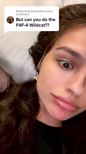 Incredible WWII Aviation History Sketchbook Art