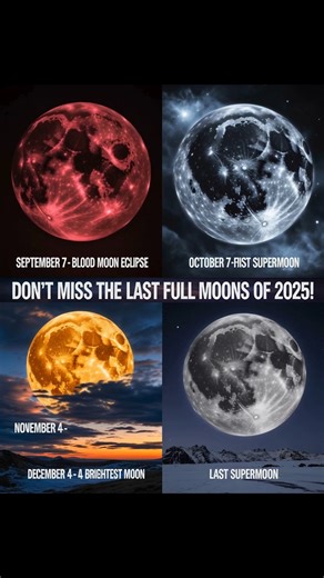 🌌✨ The countdown has begun… The final four full moons of 2025 are not just ordinary nights — they are cosmic events you will remember for a lifetime. 🔴 September 7 — The Blood Moon Eclipse The Moon will bleed red as it slips into Earth’s shadow… a haunting spectacle that turns the sky into a glowing omen. 🌕 October 7 — The First Supermoon Bigger, brighter, closer — the Moon will rise like a silver lantern, filling the heavens with pure light. 🌕✨ November 5 — The Biggest & Brightest Full Moon