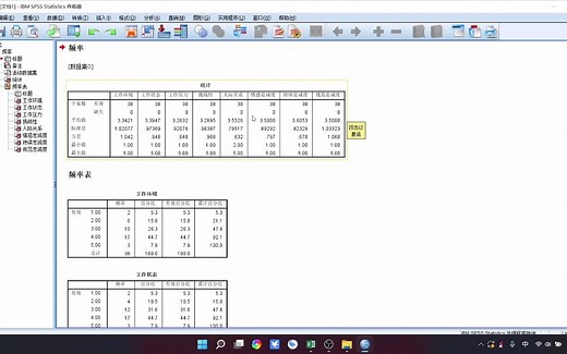 SPSS数据导入，描述性统计分析