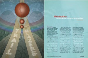 bioinformatics »  Clinical and Translational Science Institute » University of Florida