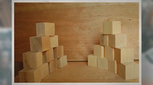 Ambrosia Maple vs Spalted Maple Woods