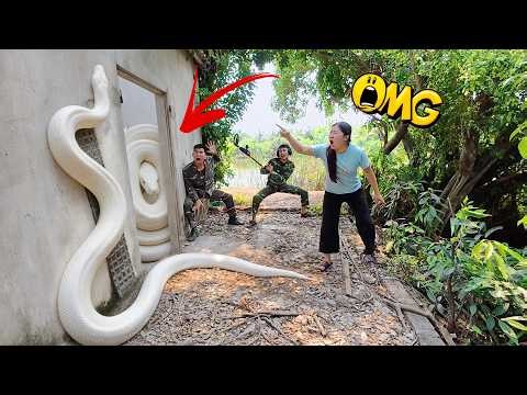 3 Brave Hunters Use High-Tech Detection Equipment and Discover 100 Giant Snakes in Abandoned House