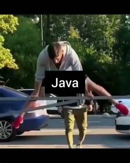 Java vs Html vs Ruby vs legend Python ‪@Siddhiinfotech‬