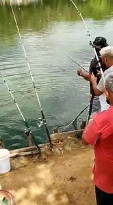 Bóia afundou já era tá no óleo Cena inédita é só aqui do começo ao fim no pesqueiro recanto Favaro carpa cabeçuda a festa não para Temos bastante vagas para pesca noturna hoje não precisa nem agendar hoje a noite que tá de boa galera Bora bater bóia pescadores!!!!!!!!!!! Em Capivari sp Av Enio Pires de Camargo 93 Bairro ribeirão em Capivari sp | Pesqueiro Recanto Favaro