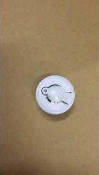 Sound Expression Greetings® Recordable Sound Buttons for Stuffed Animals