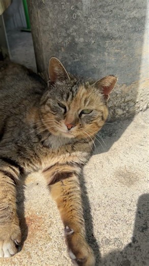 어떤 귀여움이 기다릴지.. 설래는 마음