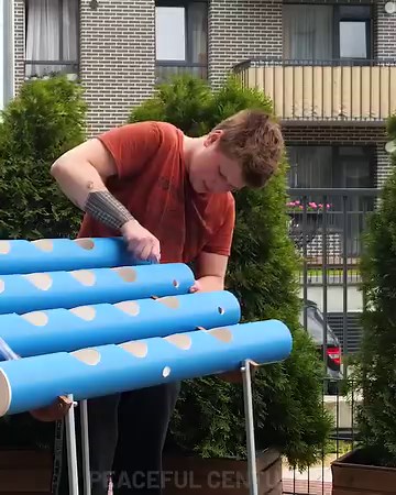 293K views · 400 reactions | DIY Small Hydroponic Garden | Peaceful Century | Facebook