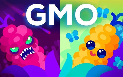 【Kur科普】转基因生物是好还是坏？基因工程与我们的食物（中英字幕）