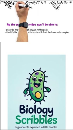 ARTHROPODA CLASSIFICATION FOR IGCSE #igcsebiology #biology #biologymadeeasy
